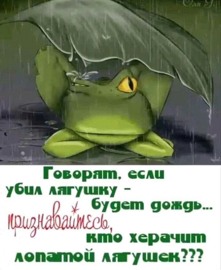 Говорят, если убил лягушку - будет дождь... признавайтеесь, кто херачит лопатой лягушек???