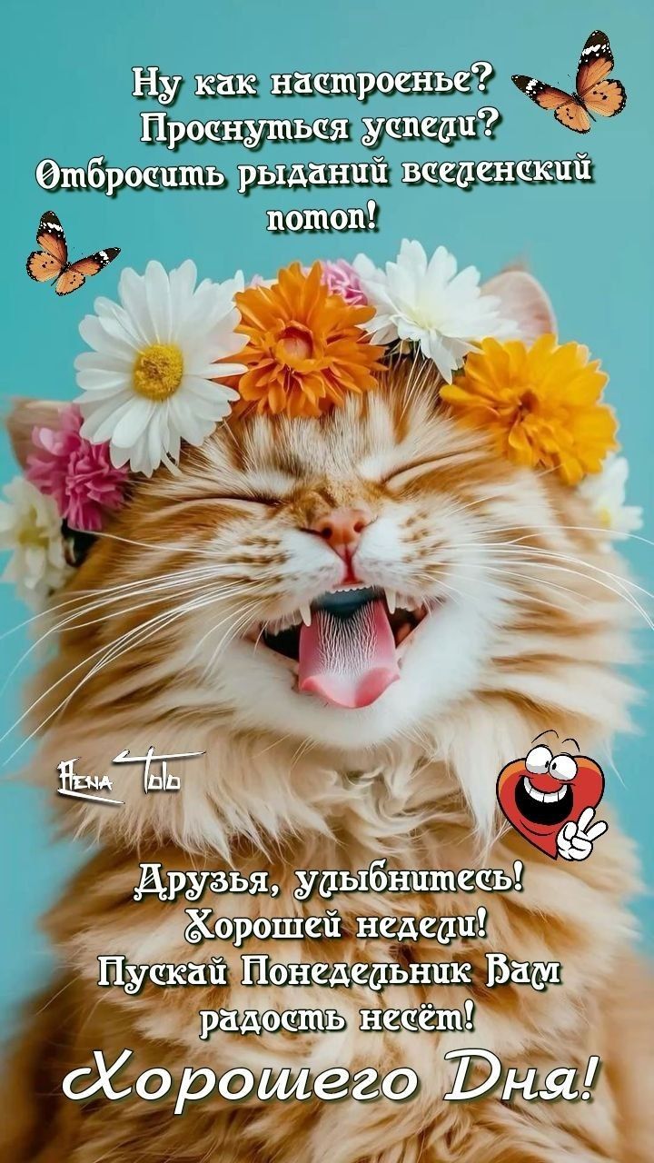 Ну как настроение? Проснуться успели? Отбросить ряданий вседневный потом! Друзья, улыбнитесь! Хорошей недели! Пускай Понедельник Вам радость несёт! Хорошего Дня!