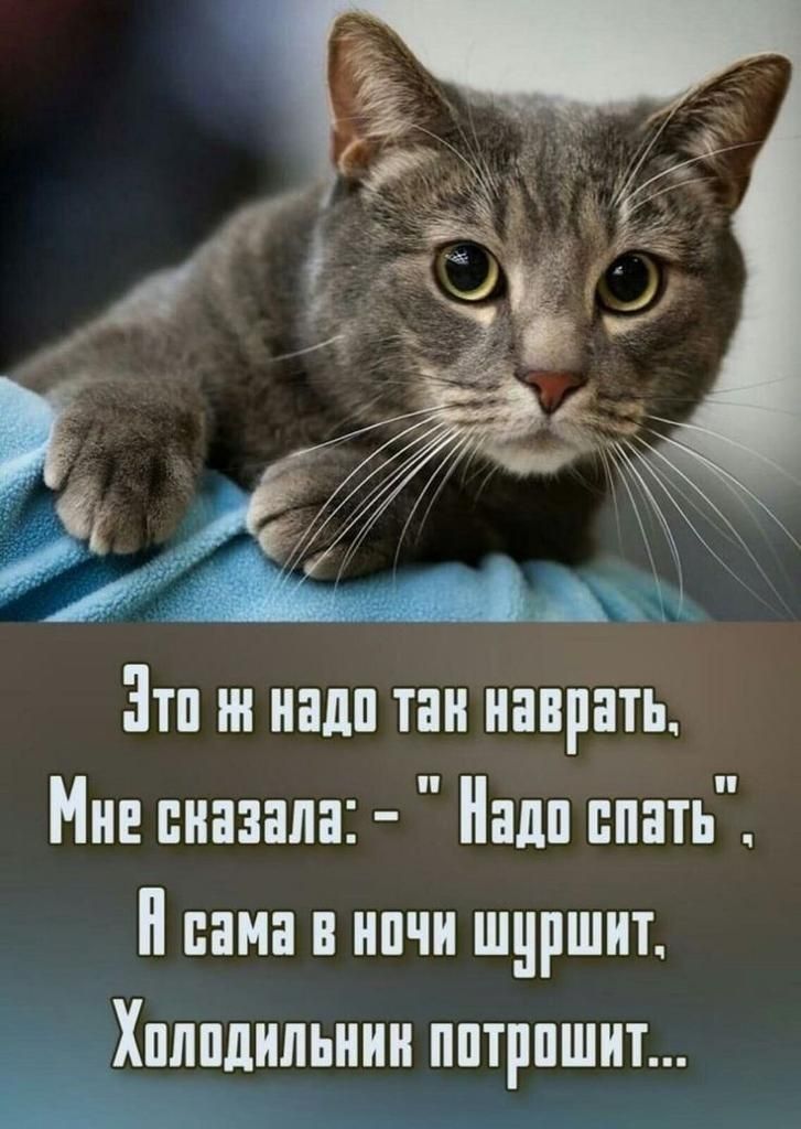 Это ж надо так наварать, Мне сказала: - 