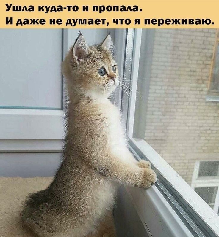 Ушла куда-то и пропала. И даже не думает, что я переживаю.
