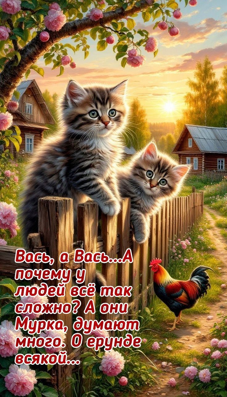 Вась, а Вась...А почему у людей всё так сложно? А они Мурка, думают много. О ерунде всякой...