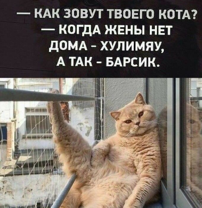 КАК ЗОВУТ ТВОЕГО КОТА?
— КОГДА ЖЕНЫ НЕТ ДОМА - ХУЛИМЯУ,
А ТАК - БАРСИК.