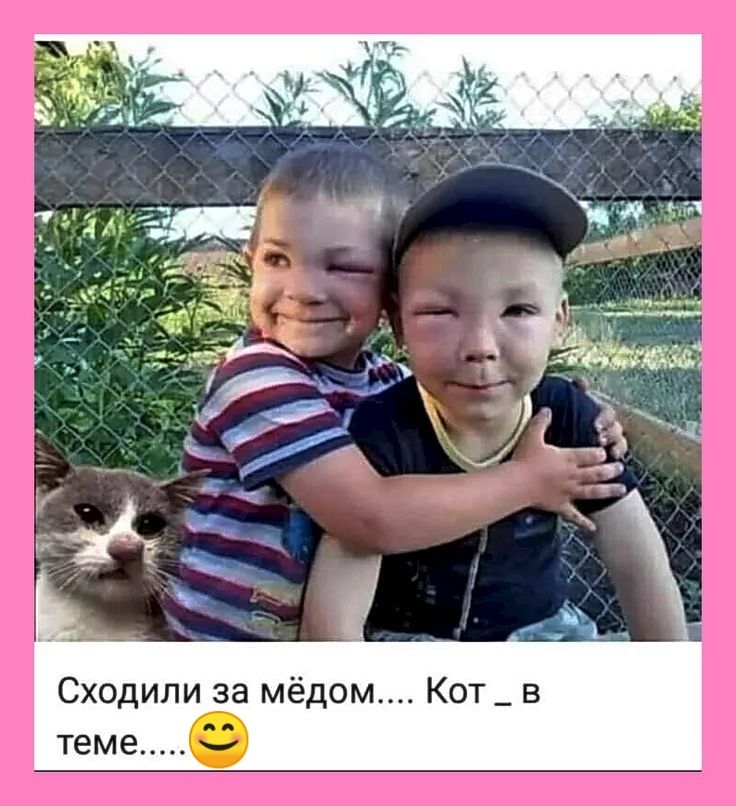 Сходили за мёдом.... Кот _ в теме.....😊