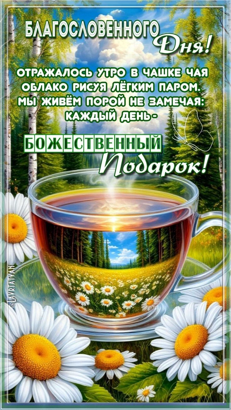 БЛАГОСЛОВЕННОГО Дня! Отражалось утро в чашке чая облако рисуя лёгким паром. Мы живём порой не замечая: каждый день - БОЖЕСТВЕННЫЙ Подарок!