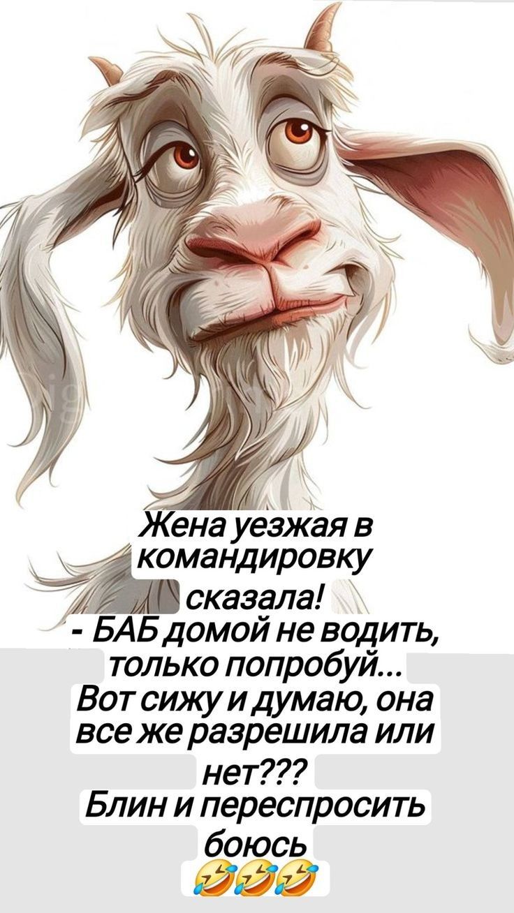 Жена уезжающая в командировку сказала! - БАБ домашний не водить, только попробуй... Вот сижу и думаю, она все же разрешила или нет??? Блин и переспросить боюсь 😂😂