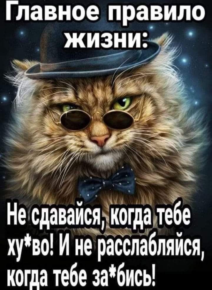 Главное правило жизни: Не сдавайся, когда тебе ху*во! И не расслабляйся, когда тебе за*бись!