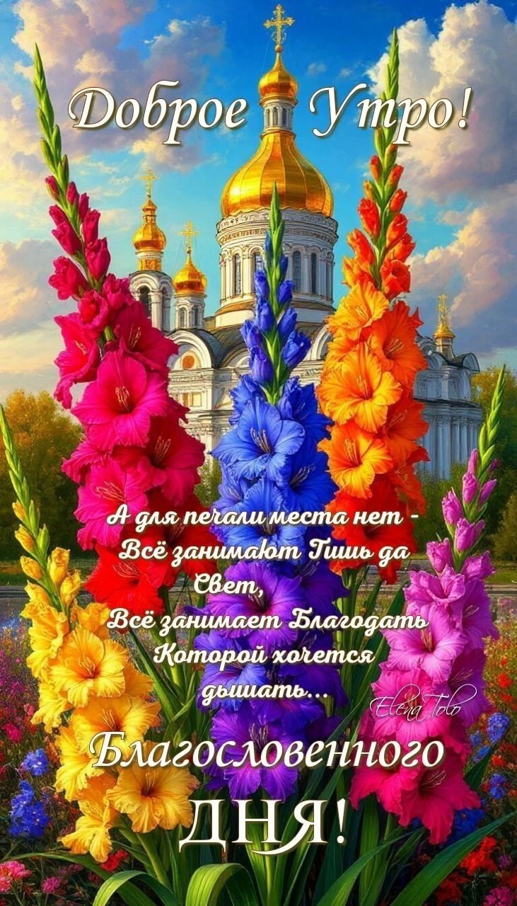 Доброе Утро! А для петель места нет - Всё занимают Птицы да Свет, Всё занимает Благодать Которой хочется дышать... Благословенного ДНЯ!