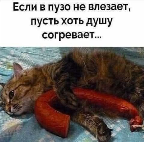 Если в пузо не влезает, пусть хоть душу согревает...