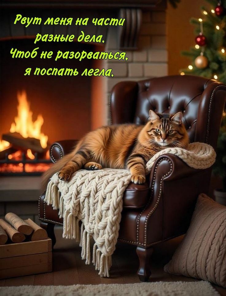 Рвут меня на части разные дела. Чтоб не разорваться, я поспать легла.