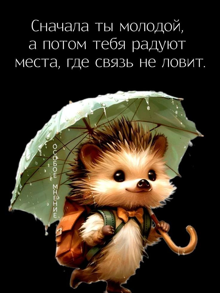 Сначала ты молодой, а потом тебя радуют места, где связь не ловит.