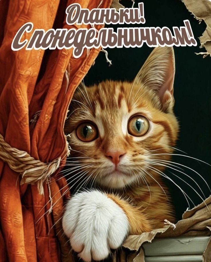 Опаньки! С понедельничком!