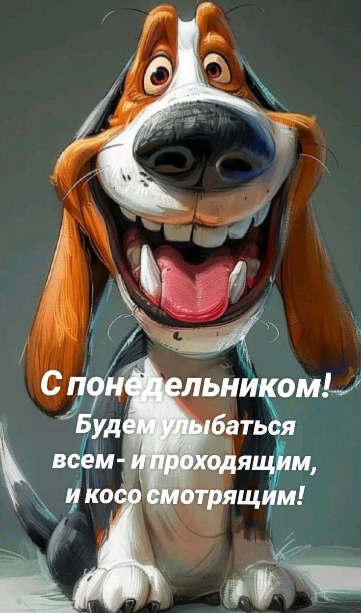 С понедельником! Будем улыбаться всем - и проходящим, и косо смотрящим!
