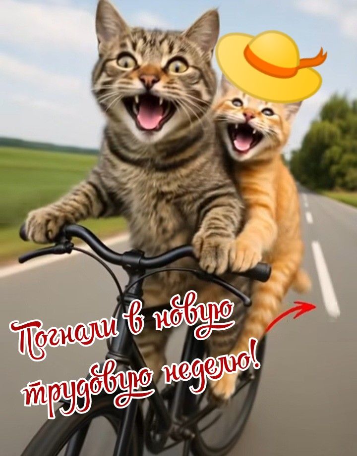 Погнали в новую трудовую неделю!