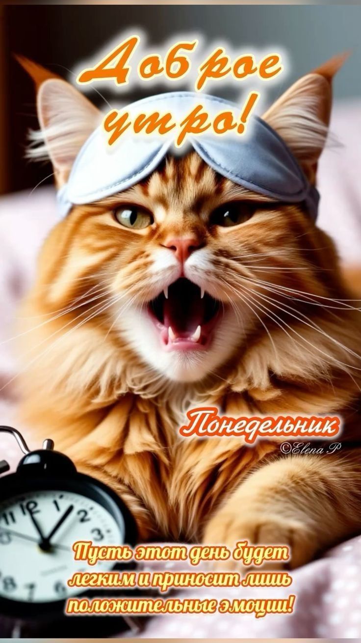 Доброе утро! Понедельник. Пусть этот день будет легким и приносит лишь положительные эмоции!