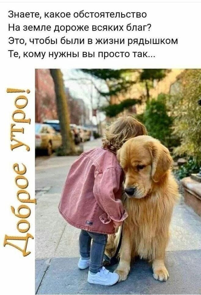 Знаете, какое обстоятельство
На земле дороже всяких благ?
Это, чтобы были в жизни рядышком
Те, кому нужны вы просто так...
Доброе утро!