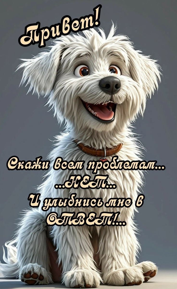 Привет! Скажи всем проблемам... ...НЕТ... И улыбнись мне в ОТВЕТ!...