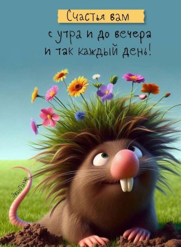 Счастья вам с утра и до вечера и так каждый день!
