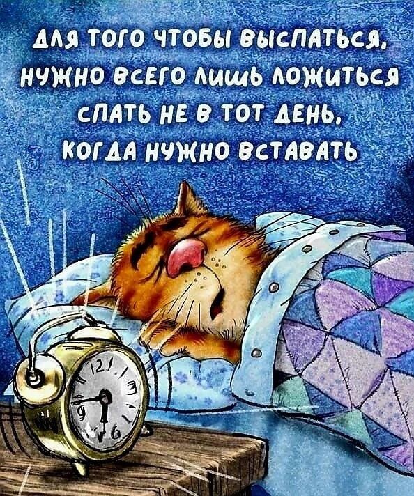 Для того чтобы выспаться, нужно всего лишь ложиться спать не в тот день, когда нужно вставать.