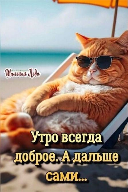 Утро всегда доброе. А дальше сами...