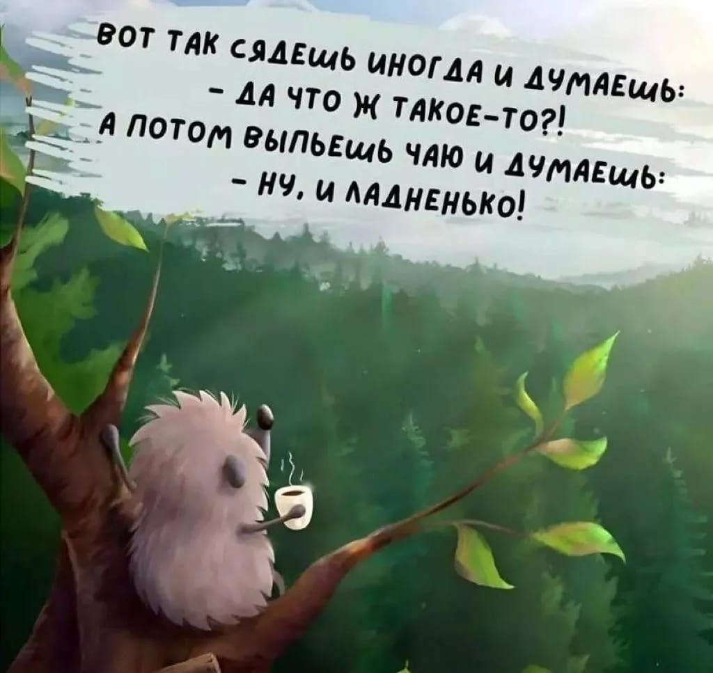 вот так сидешь иногда и думаешь: - да что ж такое-то?! а потом выпьешь чаю и думаешь: - ну, и ладненько!