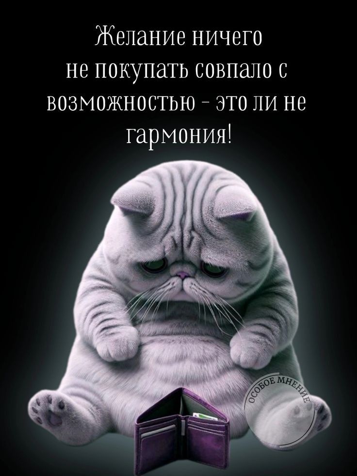 Желание ничего не покупать совпало с возможностью – это ли не гармония!