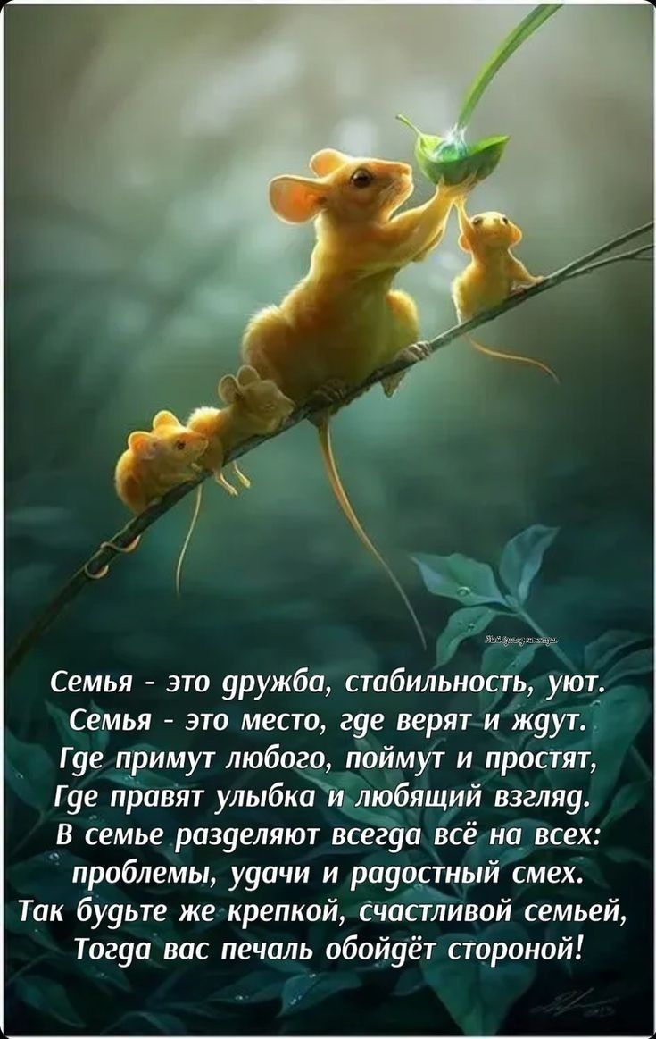 Семья - это дружба, стабильность, уют.
Семья - это место, где верят и ждут,
Где примут любого, поймут и простят,
Где правят улыбка и любящий взгляд.

В семье разглядывают всегда всё на всех:
проблемы, удачи и радостный смех.
Так будьте же крепкой, счастливой семьёй,
Тогда вас печаль обойдёт стороной!