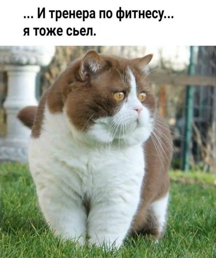 ... И тренера по фитнесу... я тоже съел.