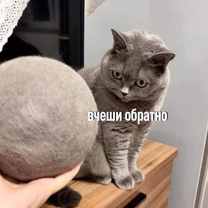 вещи обратно
