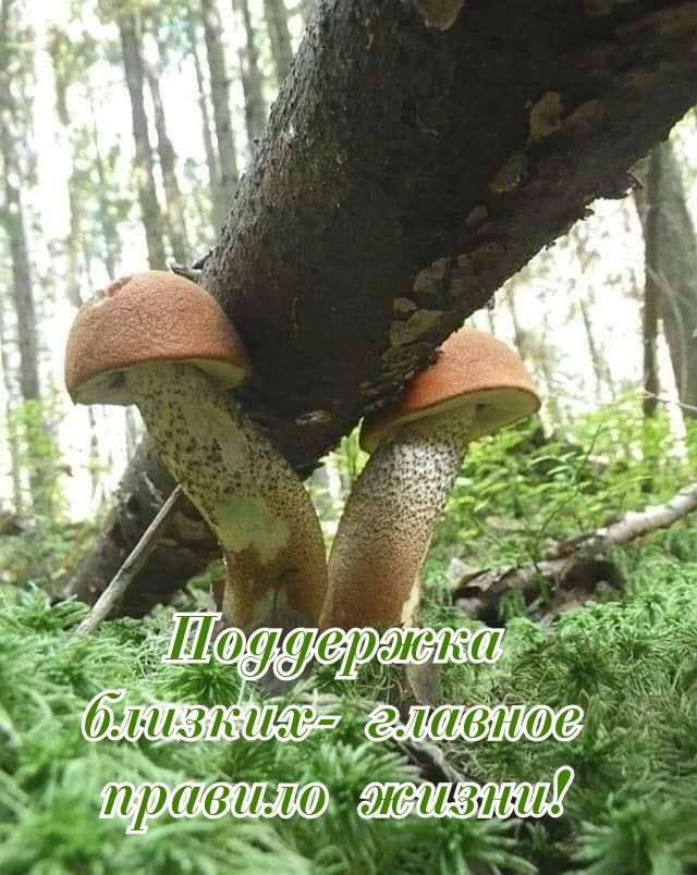 Поддержка близких - главное правило жизни!