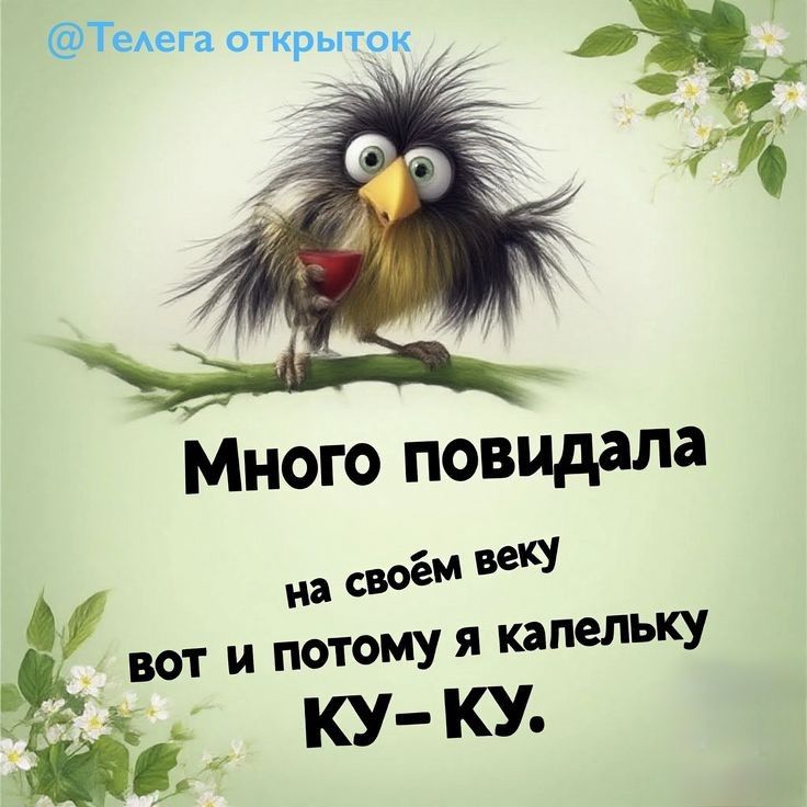 Много повидала на своём веку вот и потому я капельку КУ-КУ.