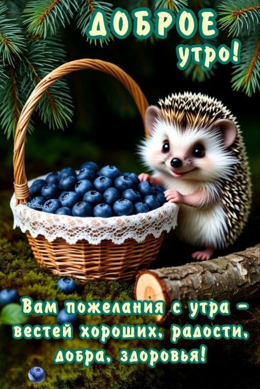 ДОБРОЕ утро! Вам пожелания с утра – вестей хороших, радости, добра, здоровья!