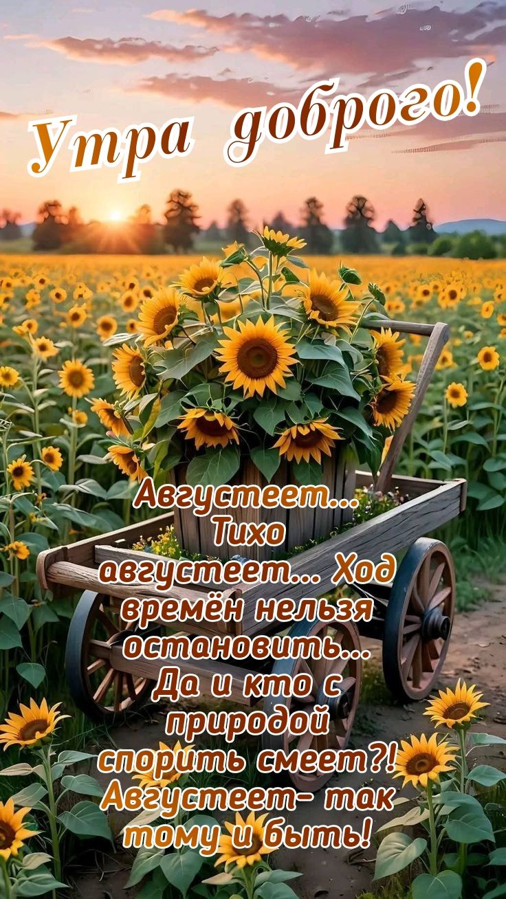 Утра доброго! Августеет... Тихо августеет... Ход времён нельзя остановить... Да и кто с природой спорить смеет?! Августеет- так тому и быть!