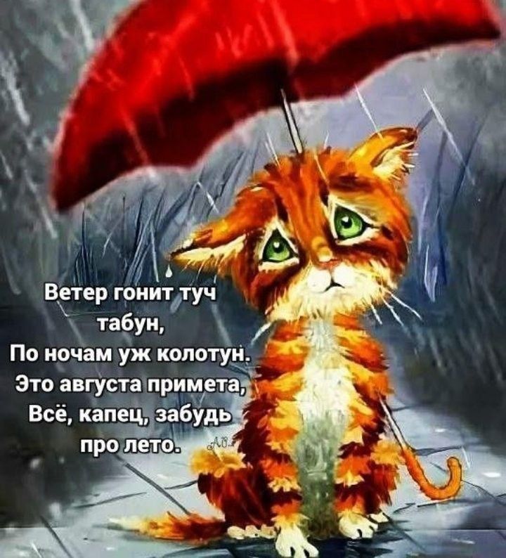 Ветер гонит туч табун, По ночам уж колотун. Это авгusta примета, Всё, капец, забудь про лето.