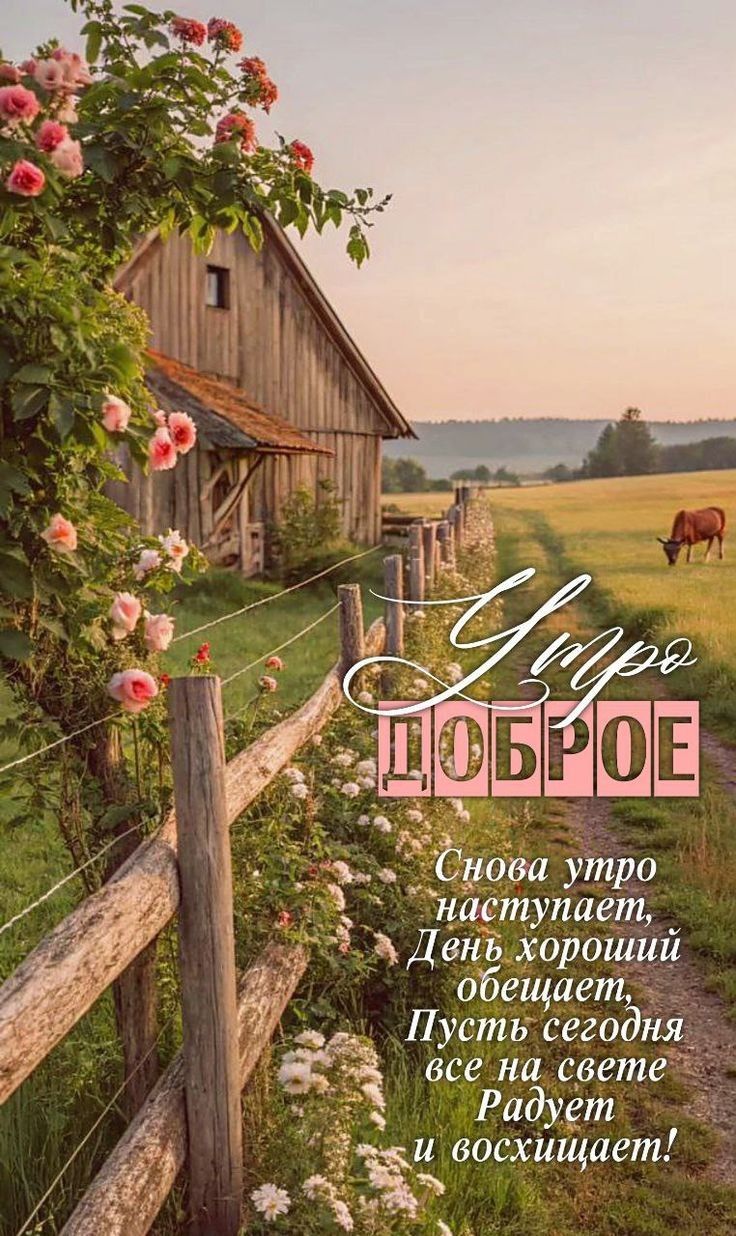 Утро доброе
Снова утро наступает, День хороший обещает, Пускай сегодня всё на свете Радует и восхищает!