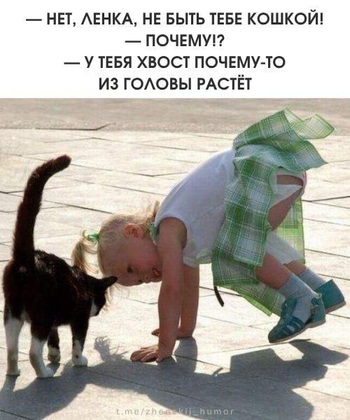 — НЕТ, ЛЕНКА, НЕ БЫТЬ ТЕБЕ КОШКОЙ!  — ПОЧЕМУ!?  — У ТЕБЯ ХВОСТ ПОЧЕМУ-ТО ИЗ ГОЛОВЫ РАСТЁТ