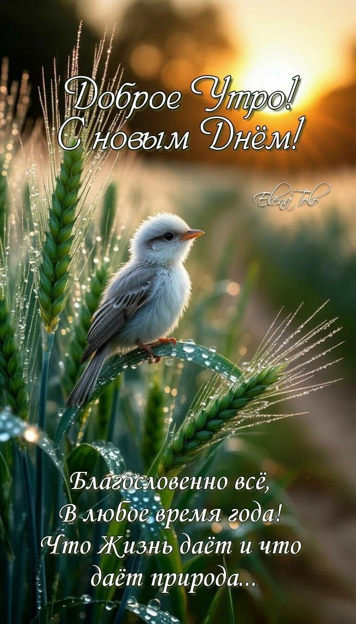 Доброе Утро! С новым Днём!

Благословенно всё,
В любое время года!
Что Жизнь даёт и что даёт природа...