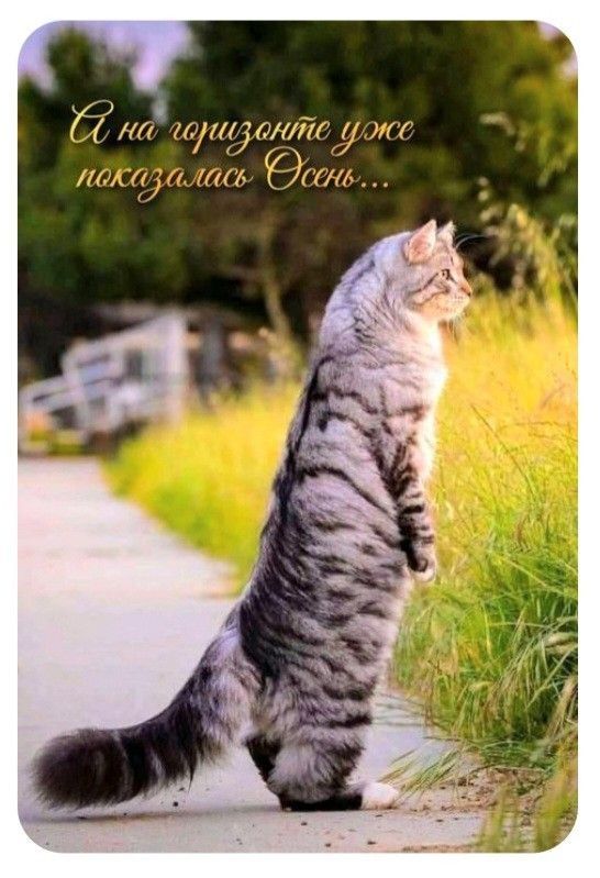 А на горизонте уже показалась Осень...