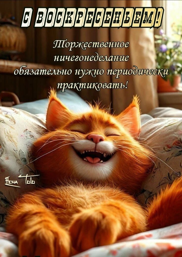 С Воскресеньем!
Торжественное ничегонеделание обязательно нужно периодически практиковать!