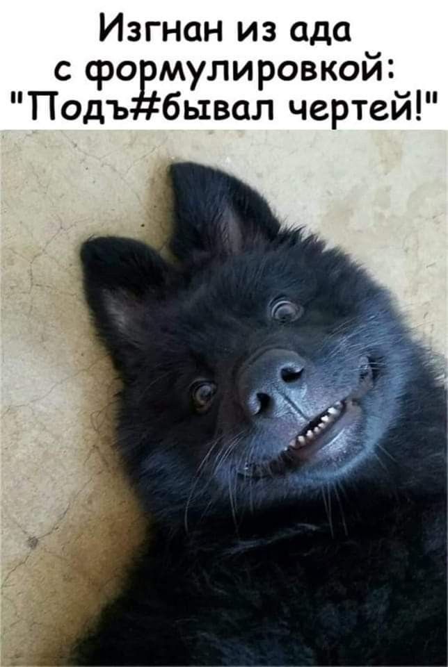 Изгнан из ада с формулировкой: 