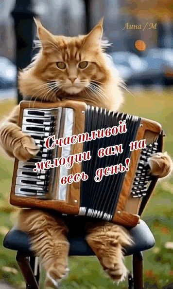 Счастливой мелодии вам на весь день!