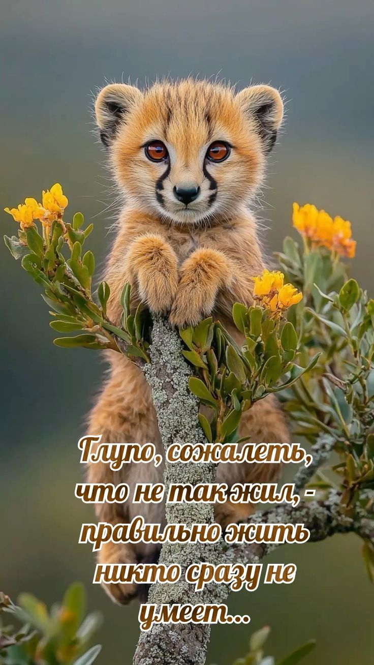 Глупо, сожалеть, что не так жил, - правильно жить никто сразу не умеет...