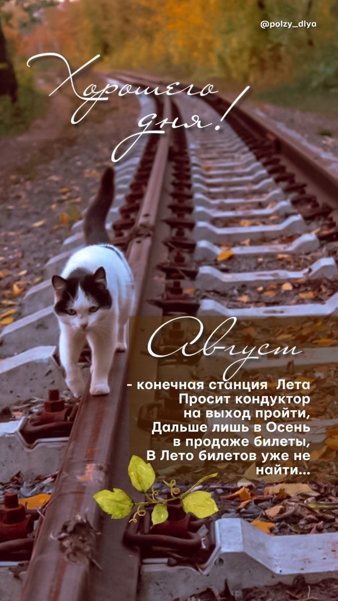 Хорошего дня!
Август
- конечная станция Лета
Просит кондуктор
на выход пройти,
Дальше лишь в Осень
в продаже билеты,
В Лето билетов уже не найти...
