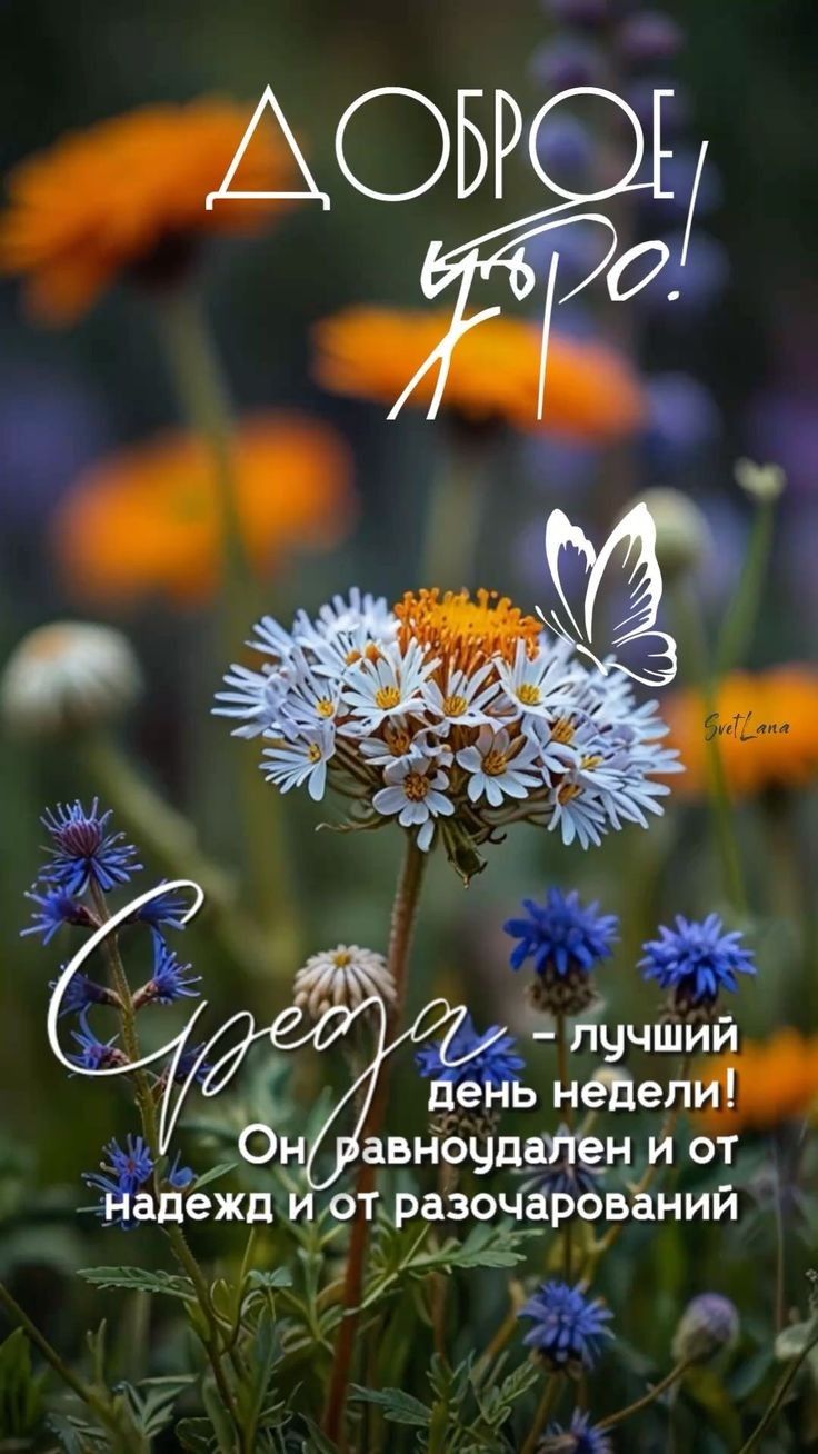 ДОБРОЕ утро! Среда - лучший день недели! Он равнодален и от надежд и от разочарований.