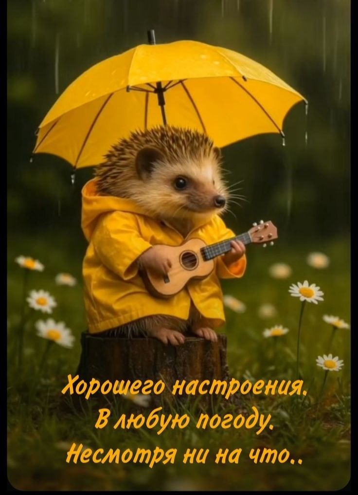 Хорошего настроения.
В любую погоду.
Несмотря ни на что..