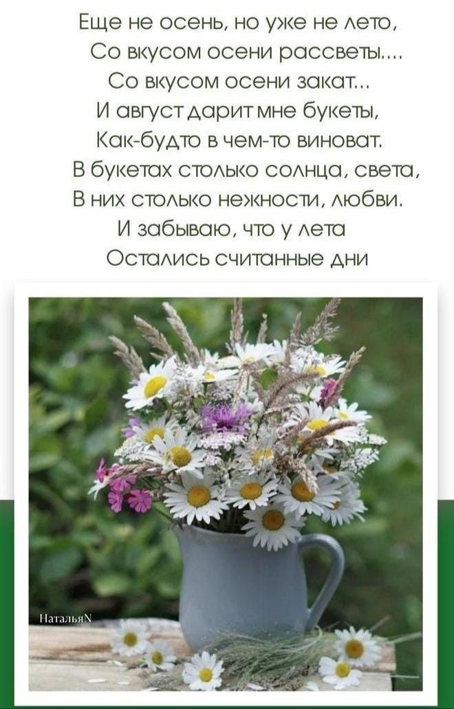 Еще не осень, но уже не лето,
Со вкусом осени рассветы....
Со вкусом осени закат..
И август дарит мне букеты,
Как-будто в чем-то виноват.
В букетах столько солнца, света,
В них столько нежности, любви.
И забываю, что у лета
Остались считанные дни.