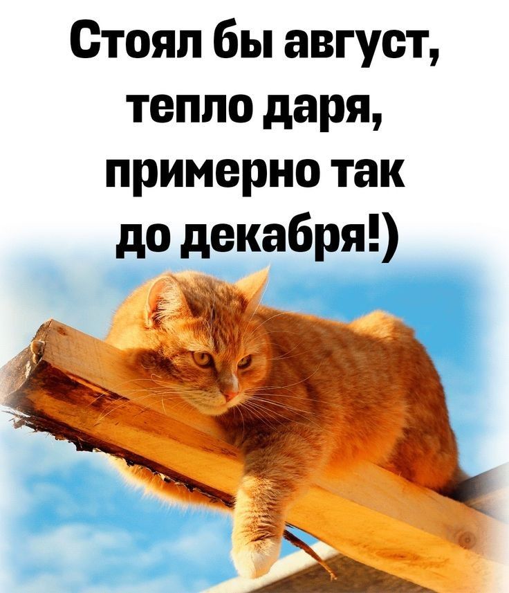 Стоял бы август, тепло даря, примерно так до декабря!)
