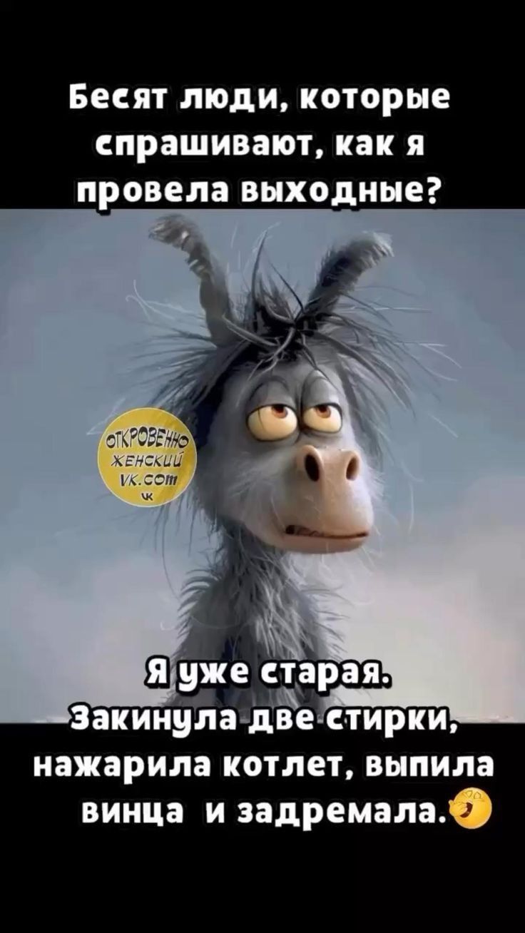 Бесят люди, которые спрашивают, как я провела выходные? Я уже старая. Закинула две стирки, нажарила котлет, выпила вина и задремала.