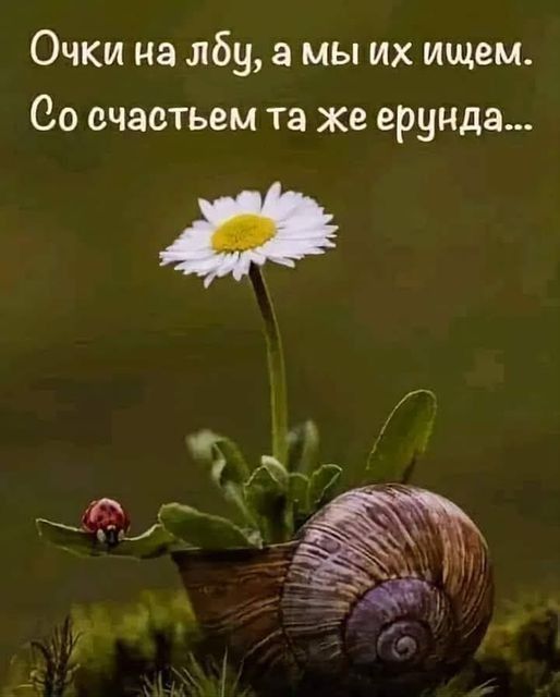 Очки на лбу, а мы их ищем. Со счастьем та же ерунда...