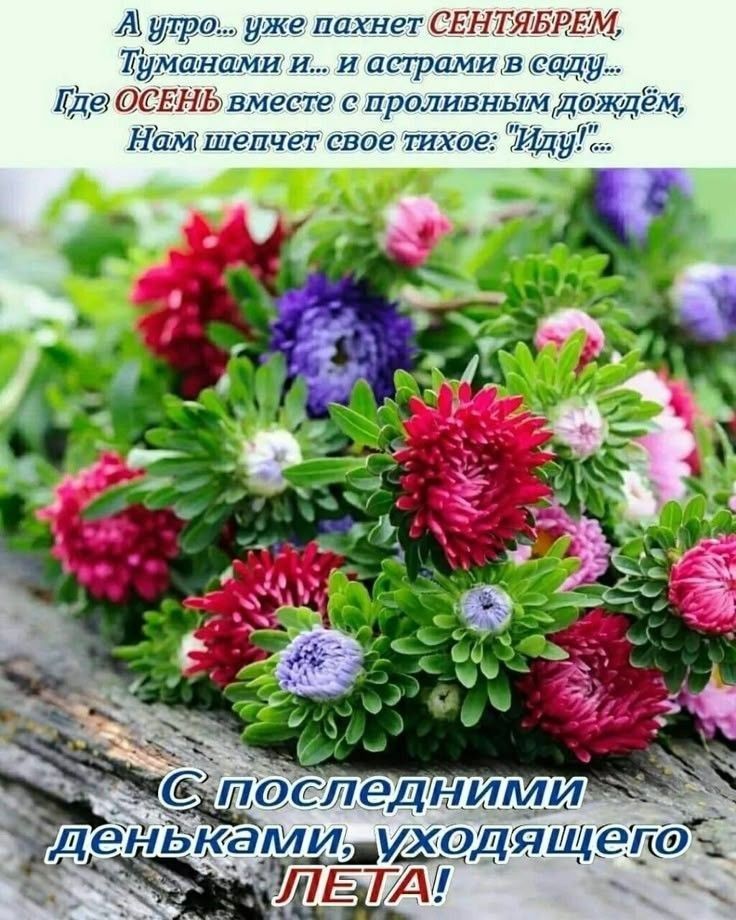 А утро... уже пахнет СЕНТЯБРЕМ, Туманами и... и астрами в саду... Где ОСЕНЬ вместе с проливным дождем, Нам шепчет свое тихое: 'Иду!'... С последними днями, уходящего ЛЕТА!