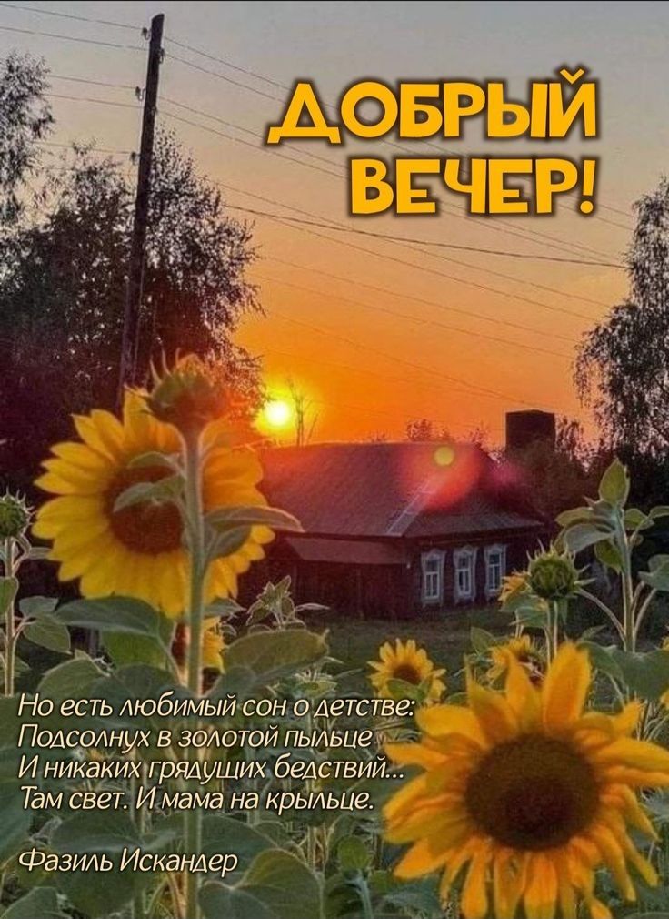 Добрый вечер!
Но есть любимый сон о детстве:
Подсолнух в золотой пылице
И никаких градущих бездствий...
Там свет. И мама на крыльце.
Фазиль Искандер.